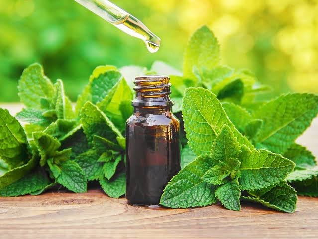Peppermint